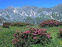 Alpi Orobie orientali, l'Eden è qui.