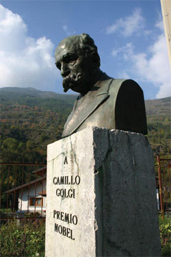 Busto di Camillo Golgi